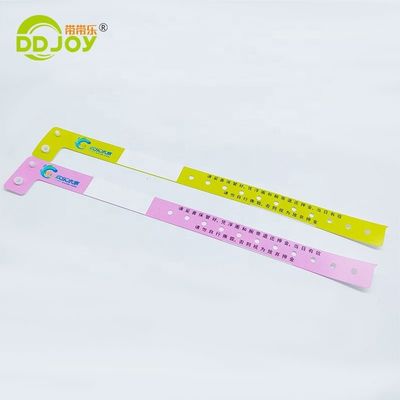 250*25mm/250*19mm Braccialetto di plastica impermeabile per parchi/eventi/festival