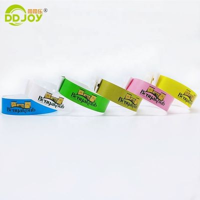 250*25mm/250*19mm Braccialetto di plastica impermeabile per parchi/eventi/festival
