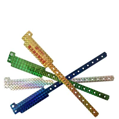 2023 Braccialetto d'identità olografico Esposizione e concerto Ammissione Braccialetti glitter