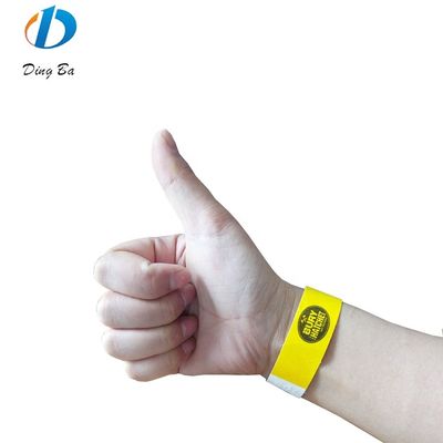 15 colori Tyvek resistente alle lacrime per eventi e parchi Logo personalizzato accettato